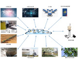 智能滴灌控制系统