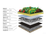 屋顶绿化生态系统模型实